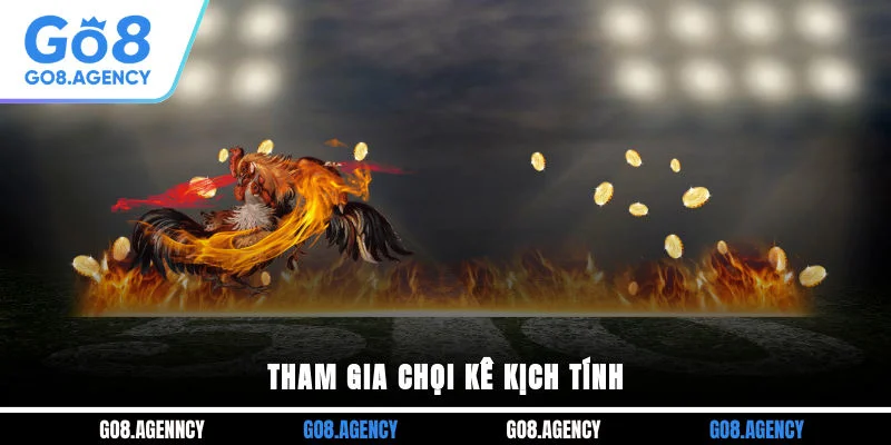 Tham gia chọi kê kịch tính